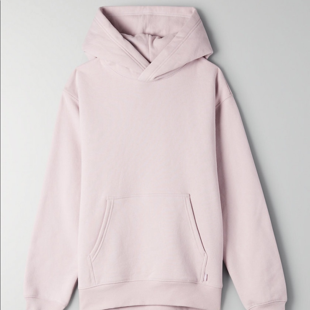 COPY - NWT Aritzia TNA Perfect Hoodie
